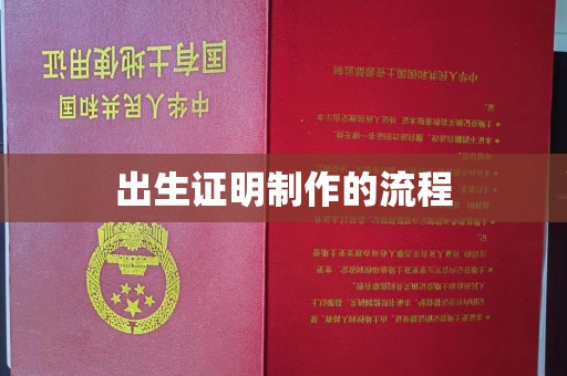 马尔康出生证明制作的流程